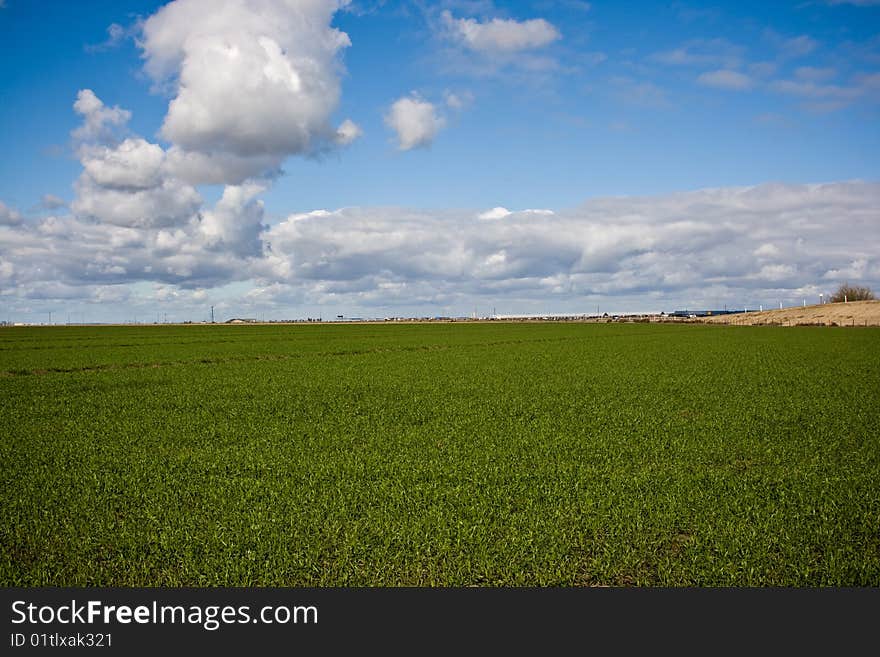 Green Farmland