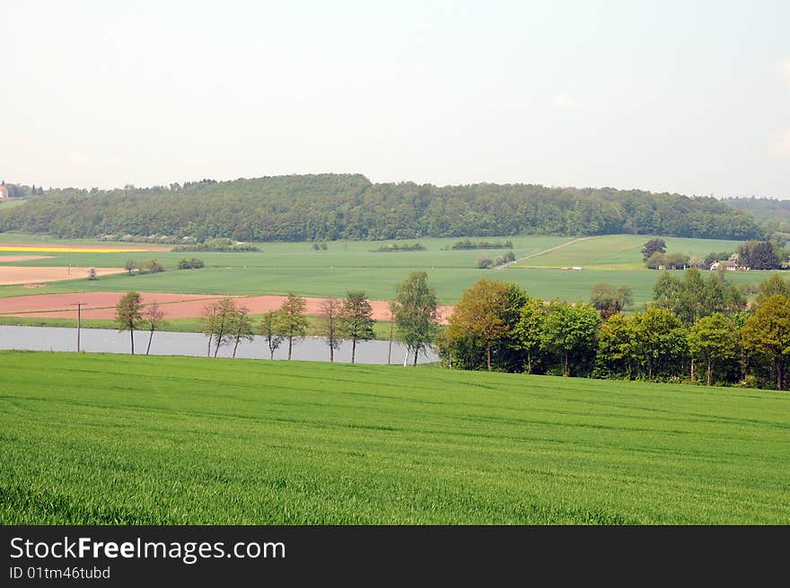 Landscape field