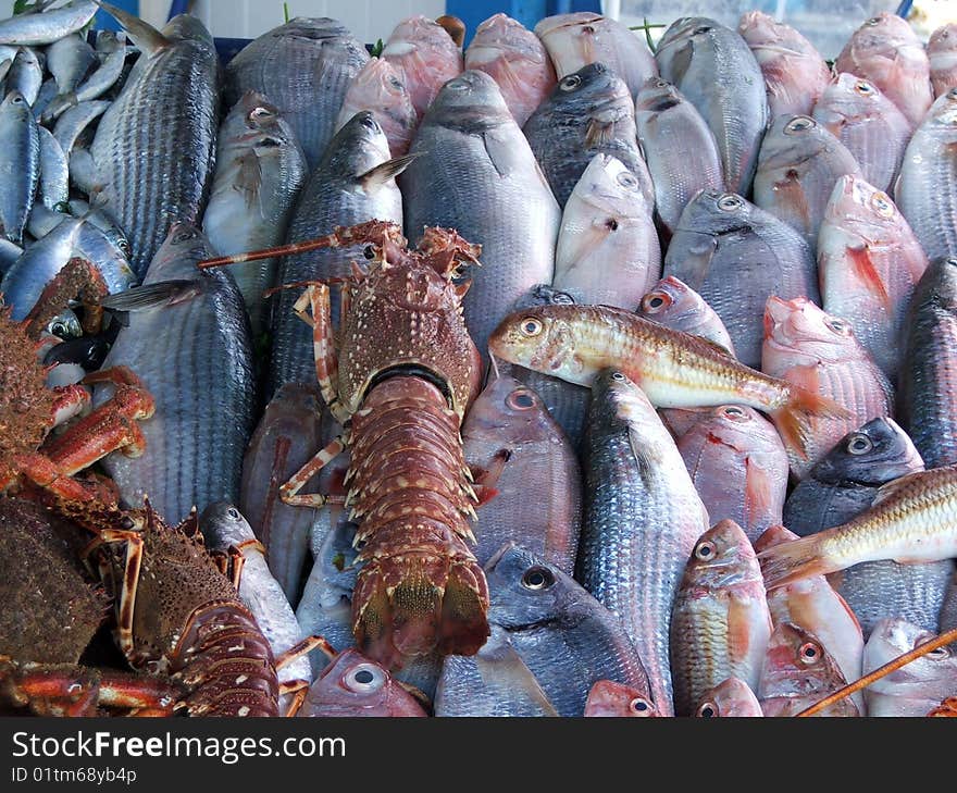 Morocco Fish