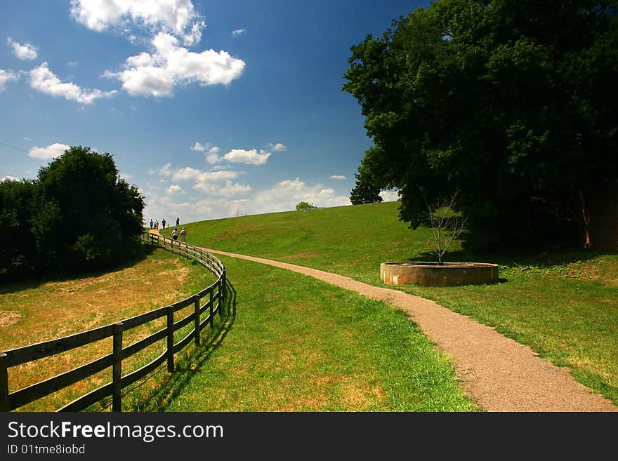 A walking trail in a park in the summer