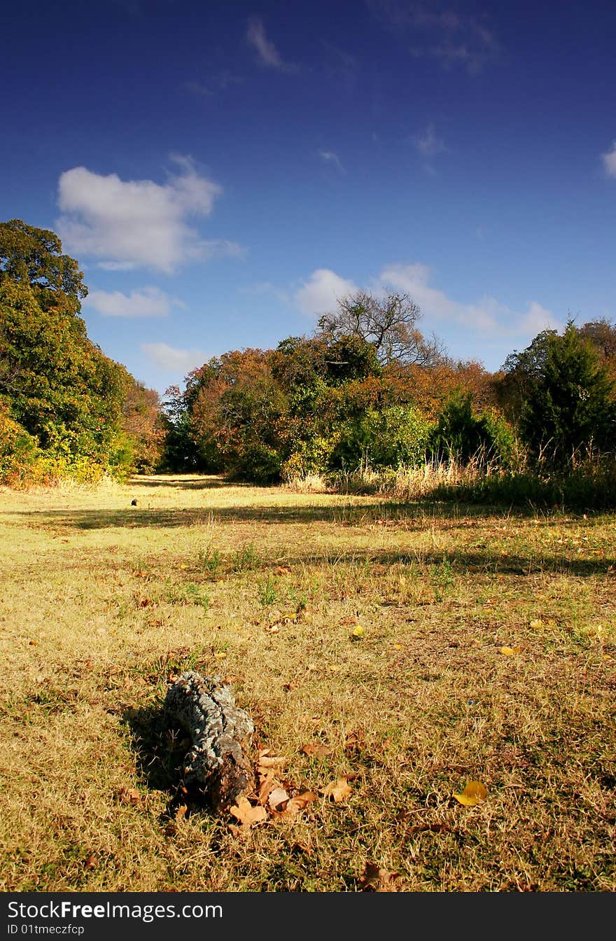 A park in early fall with beautiful blue sky