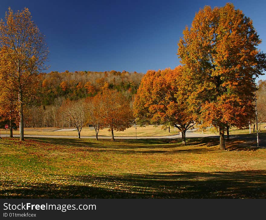 Fall colors