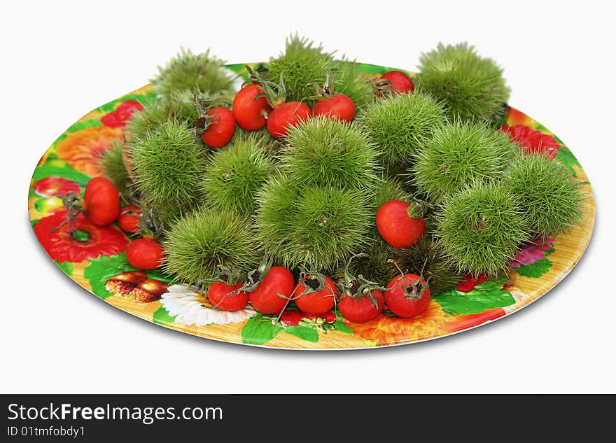 Castania sativa & rosa canina fruits on a plate. Castania sativa & rosa canina fruits on a plate