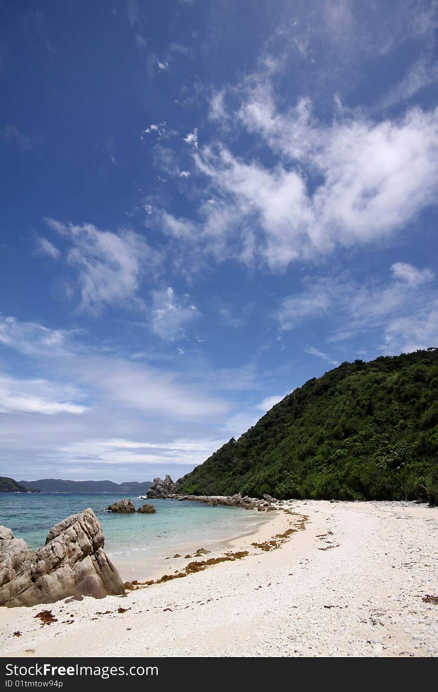 Tropical beach with jungle in the background