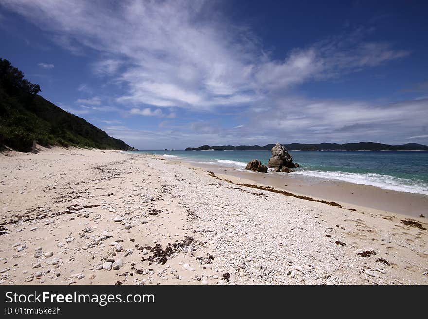 Tropical beach with corals and waves