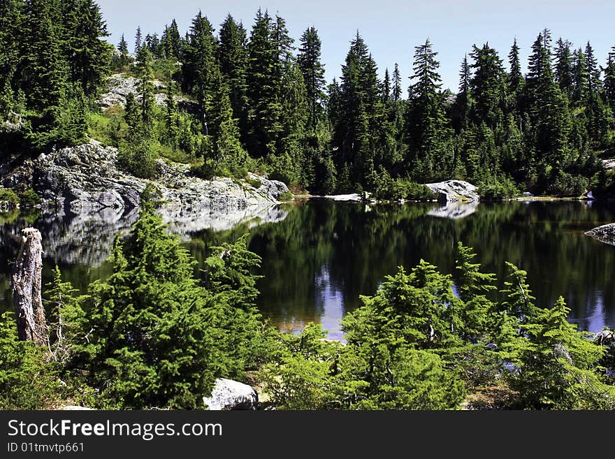 Small lake in the mountains surrounded by some trees. Small lake in the mountains surrounded by some trees