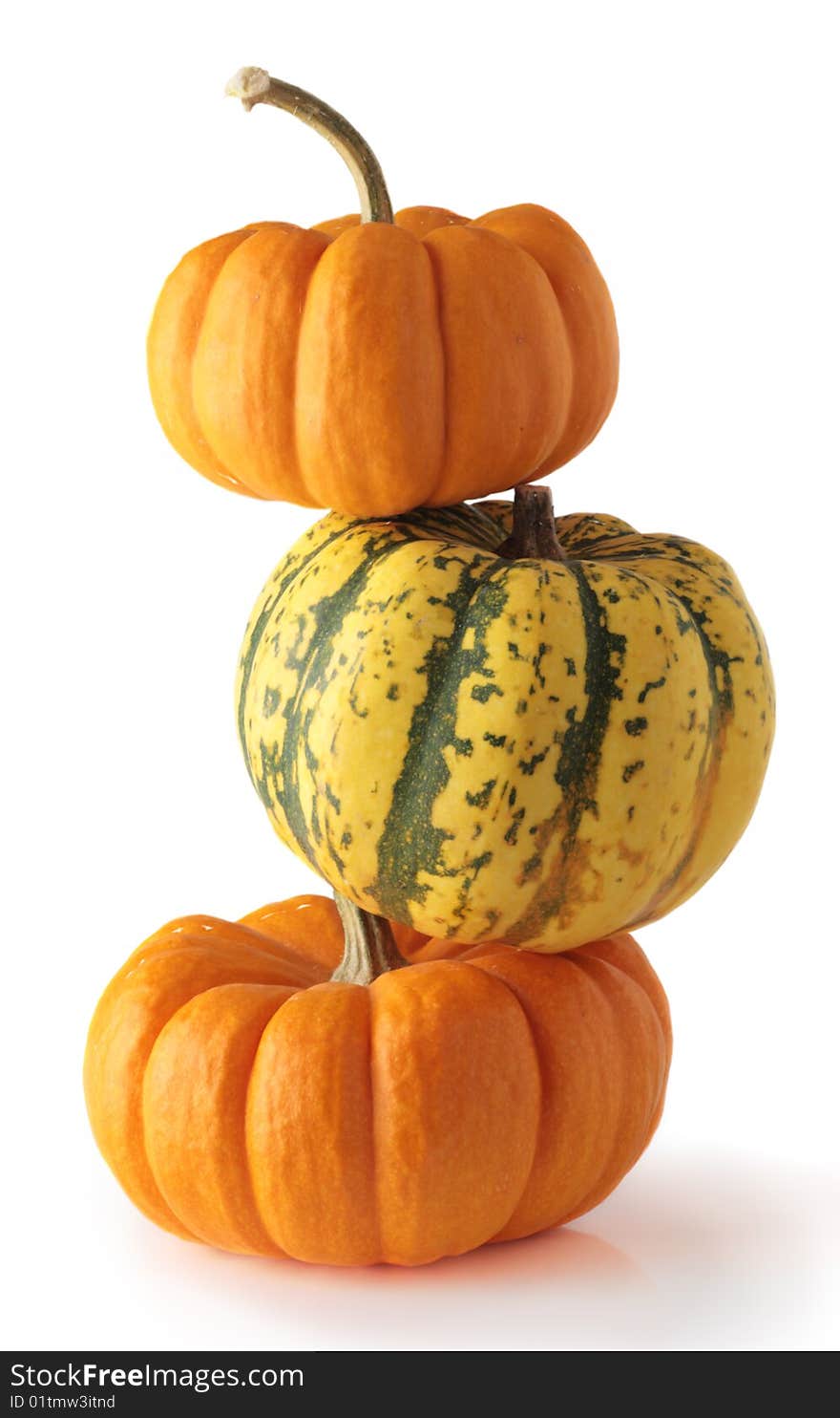 Pumpkin three orange halloween thanksgiving harvest isolated. Pumpkin three orange halloween thanksgiving harvest isolated