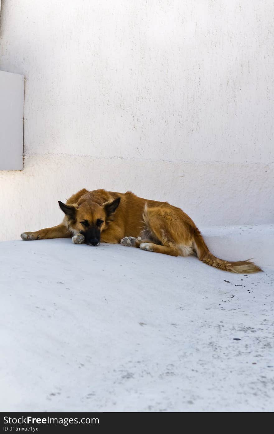 Lying in the Greek sun