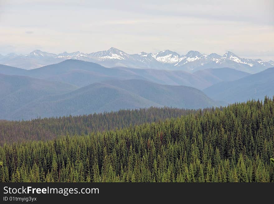 An evergreen forest of trees carries on towards distant snowcapped mountain peaks in southern British Columbia, Canada. An evergreen forest of trees carries on towards distant snowcapped mountain peaks in southern British Columbia, Canada.