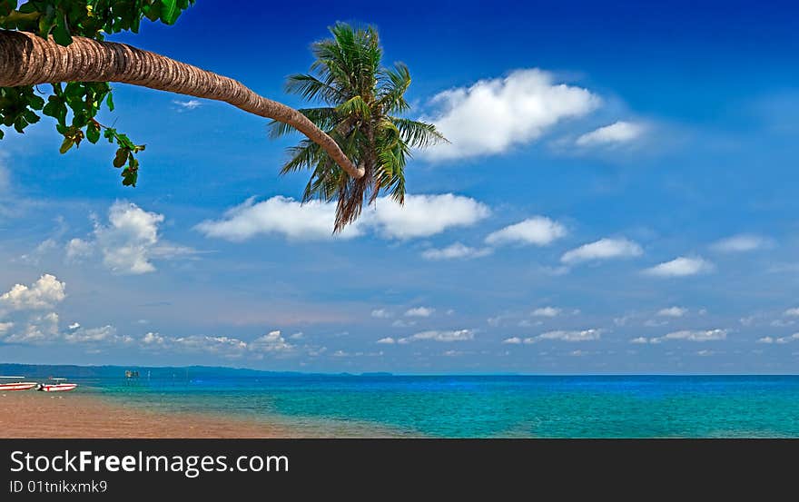 Colorful view of blue sky, turquoise sea and green palm tree. Colorful view of blue sky, turquoise sea and green palm tree.