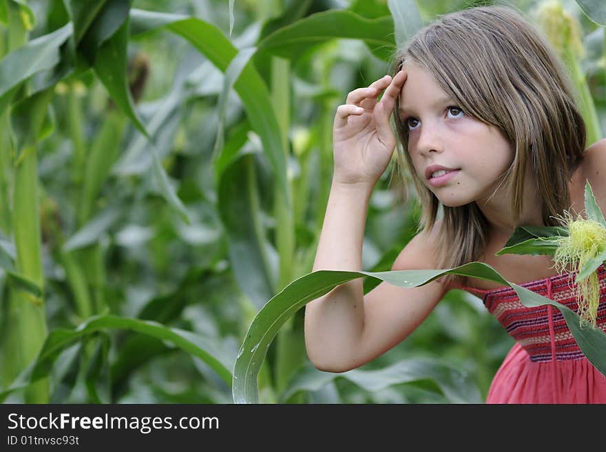 Beautiful girl playing and looking in corn field. Beautiful girl playing and looking in corn field