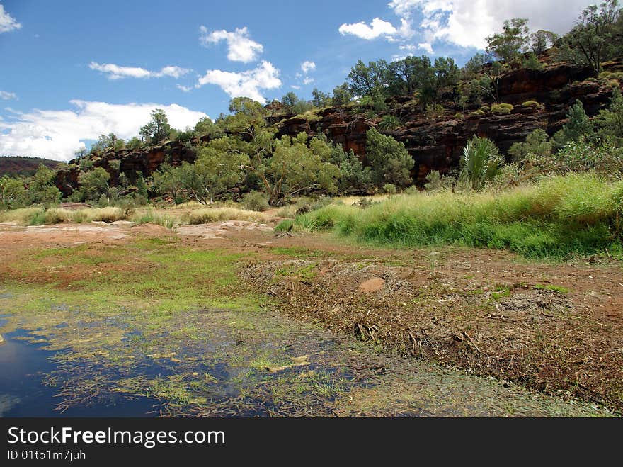 View of the Palm Valley - Northern Territory, Australia. View of the Palm Valley - Northern Territory, Australia.