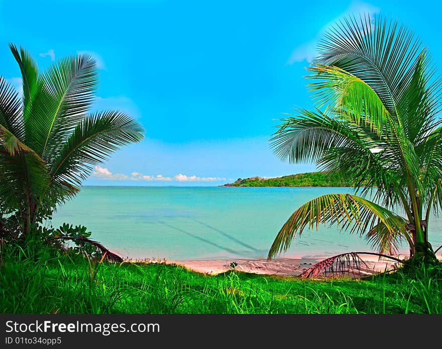 Palm trees as a gate to the sea. Palm trees as a gate to the sea