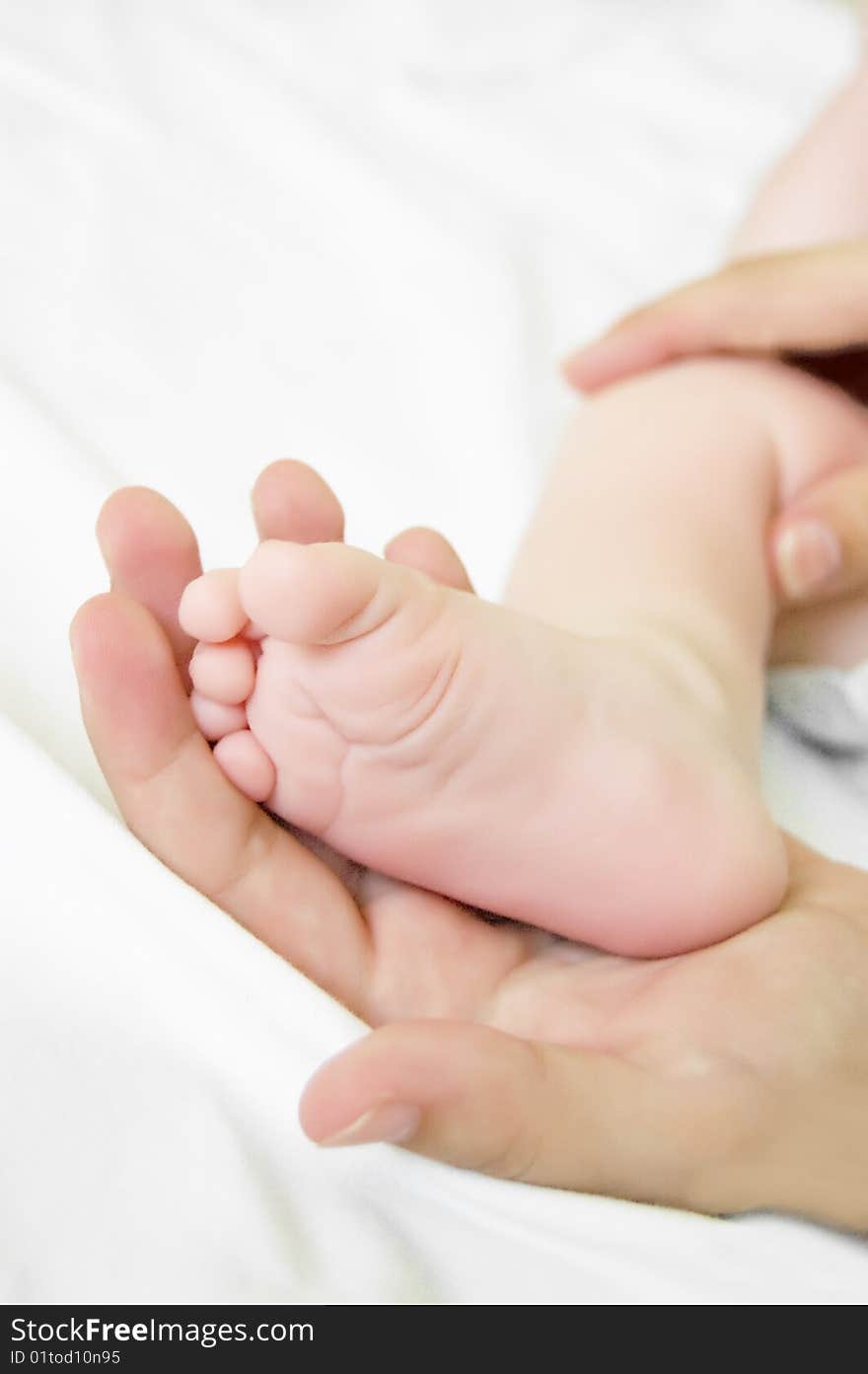 Woman hand holds baby leg