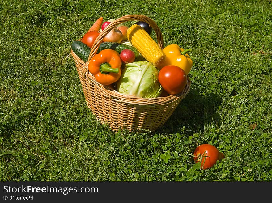 Basket with vegetables from a kitchen garden ongreen grass