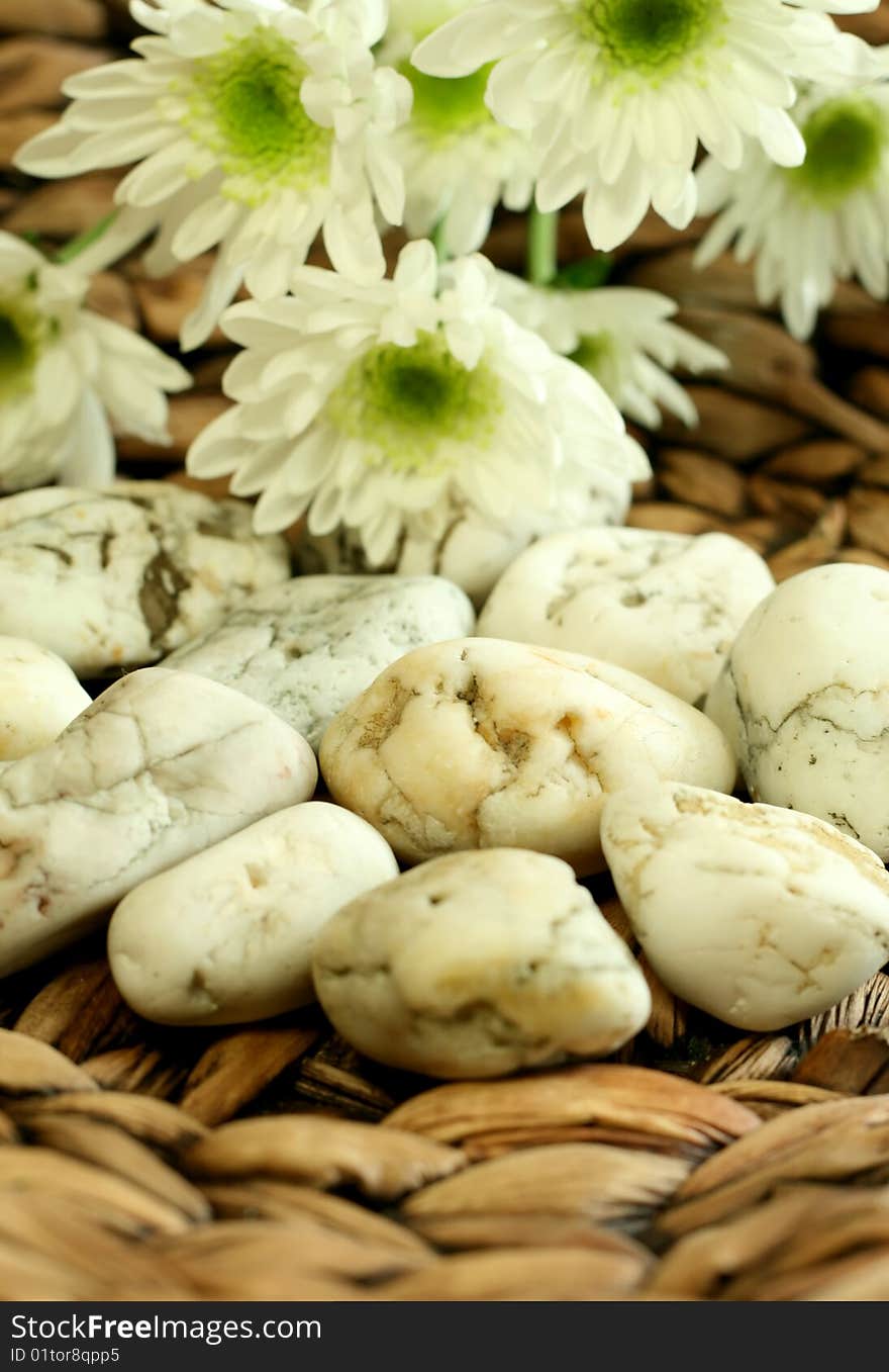 Stones and white  flowers on wooden background. Stones and white  flowers on wooden background.