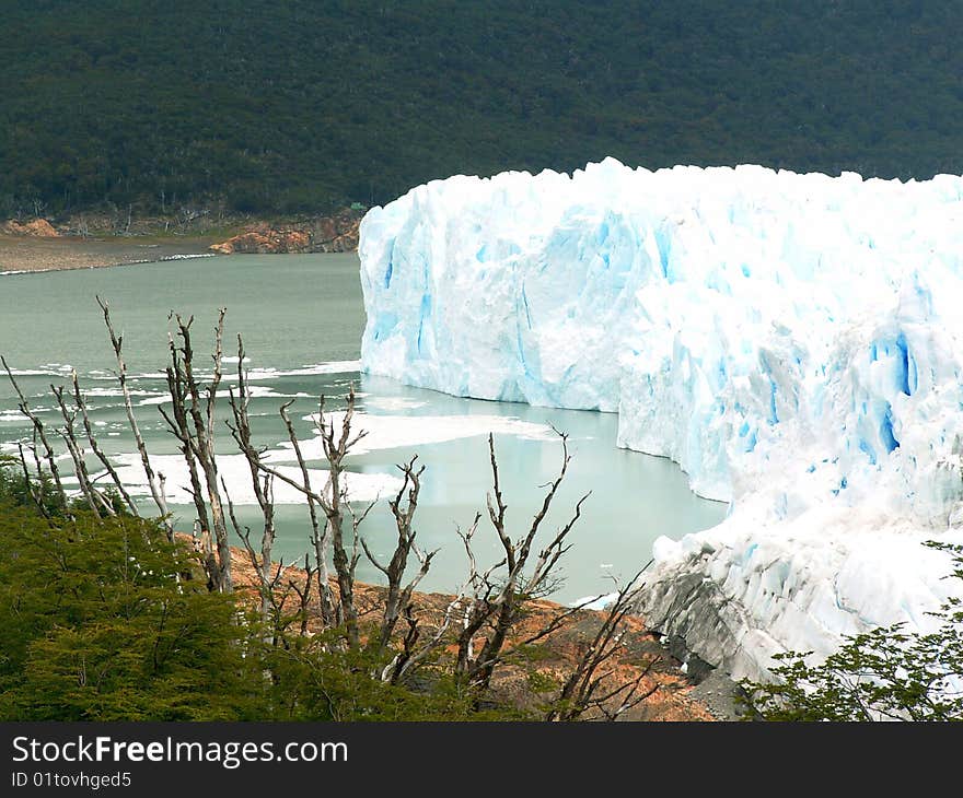 Glacier Front