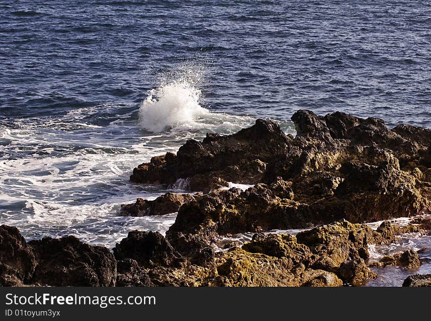 Volcanic Coastline In  Azores