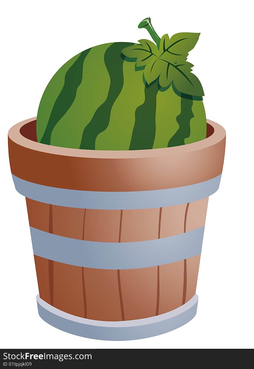 A fresh watermelon  in a wood barrel