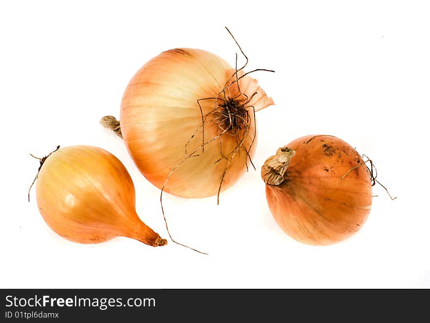 Onions in a golden peel on a white background