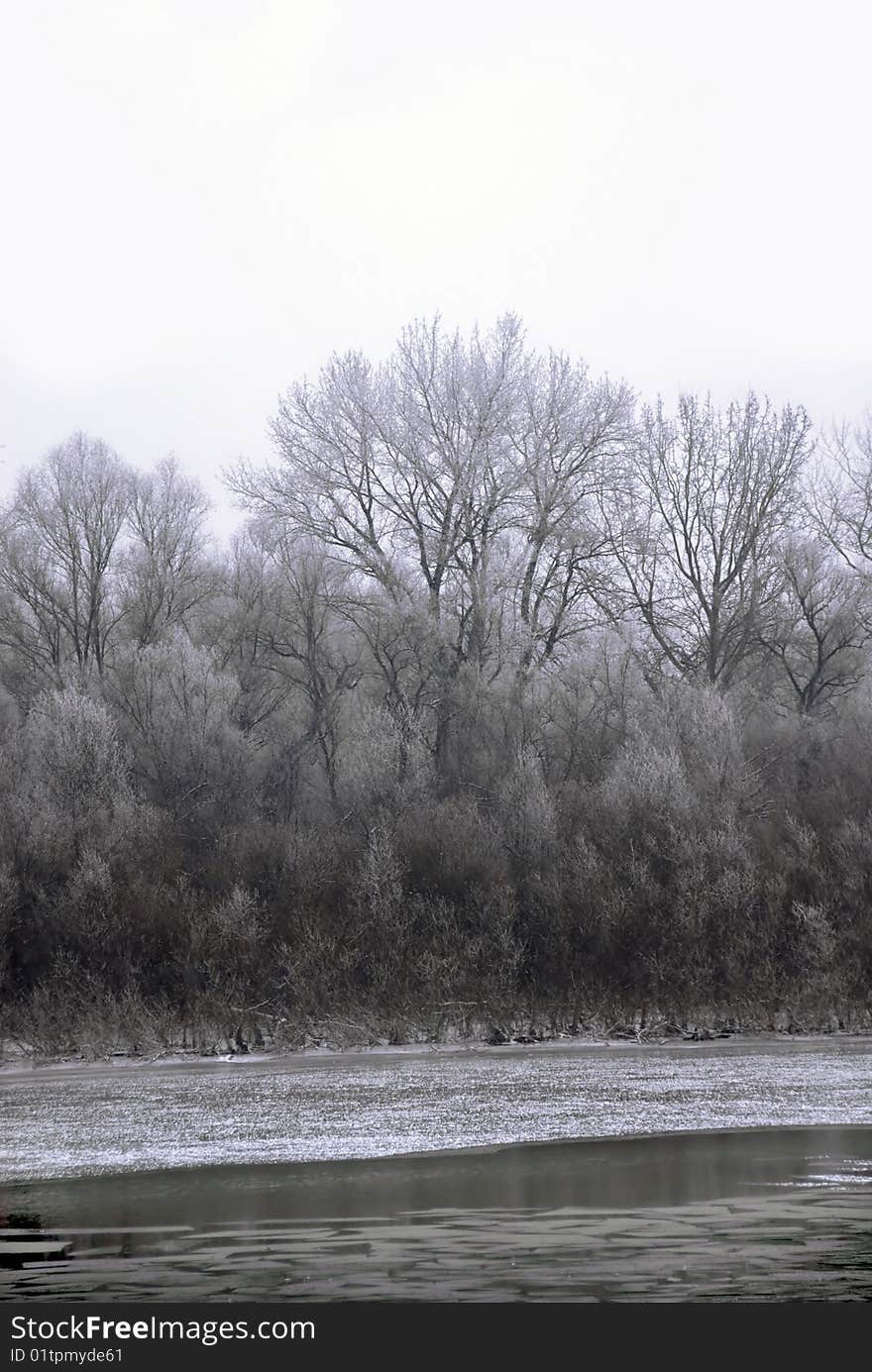 Black winter trees on riverbank scenic landscape. Black winter trees on riverbank scenic landscape