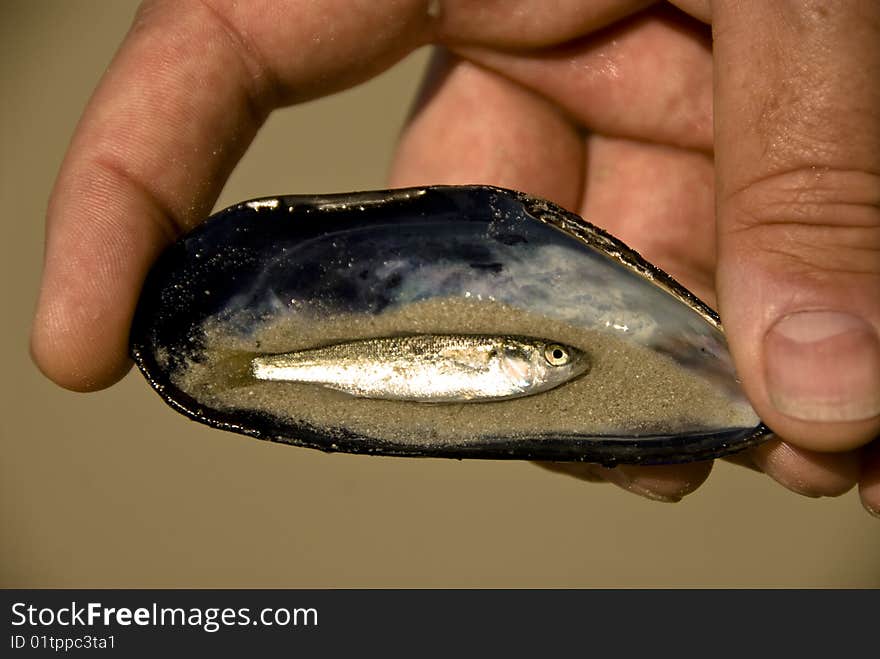 A man holding a small fish he captured in a mussel shell. A man holding a small fish he captured in a mussel shell