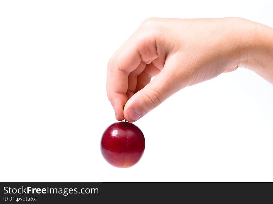 Plum in hand on white background