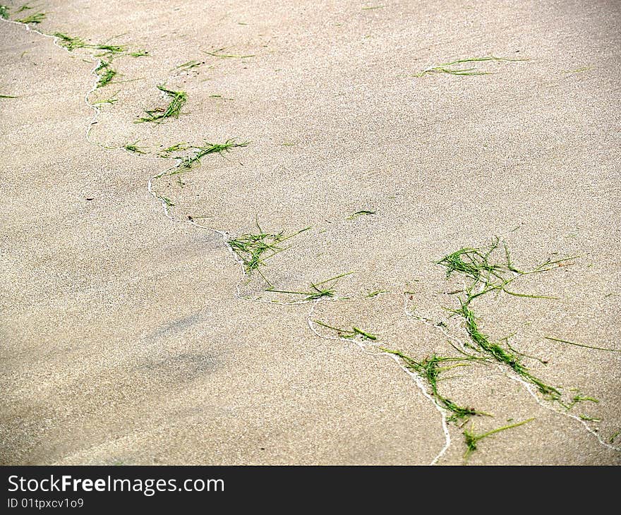 The beach after a major over night storm. The beach after a major over night storm