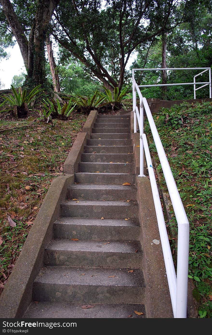 Singapore Macritchie stair