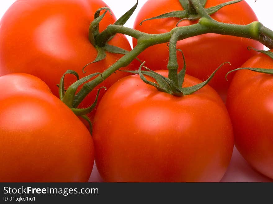 Fresh Tomatoes