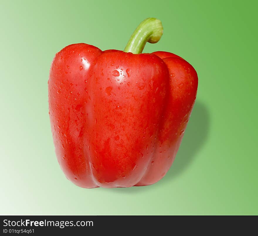 Red pepper with water drops on green background