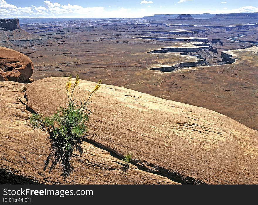 Canyon Lands.