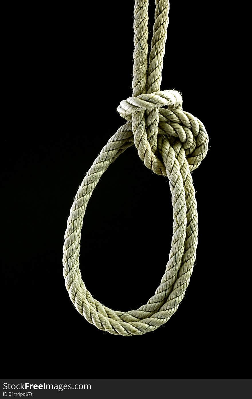 A bowline on the bight knoted rope