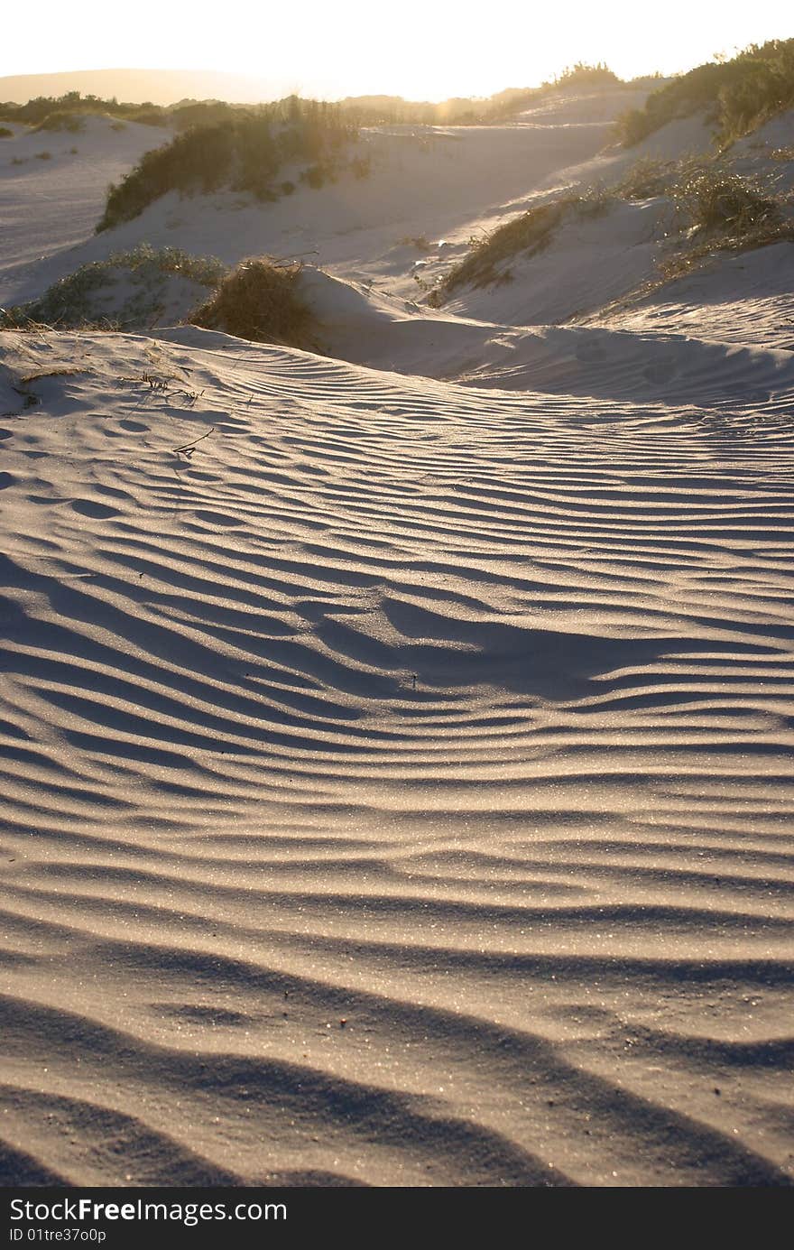 Dunes in sunset