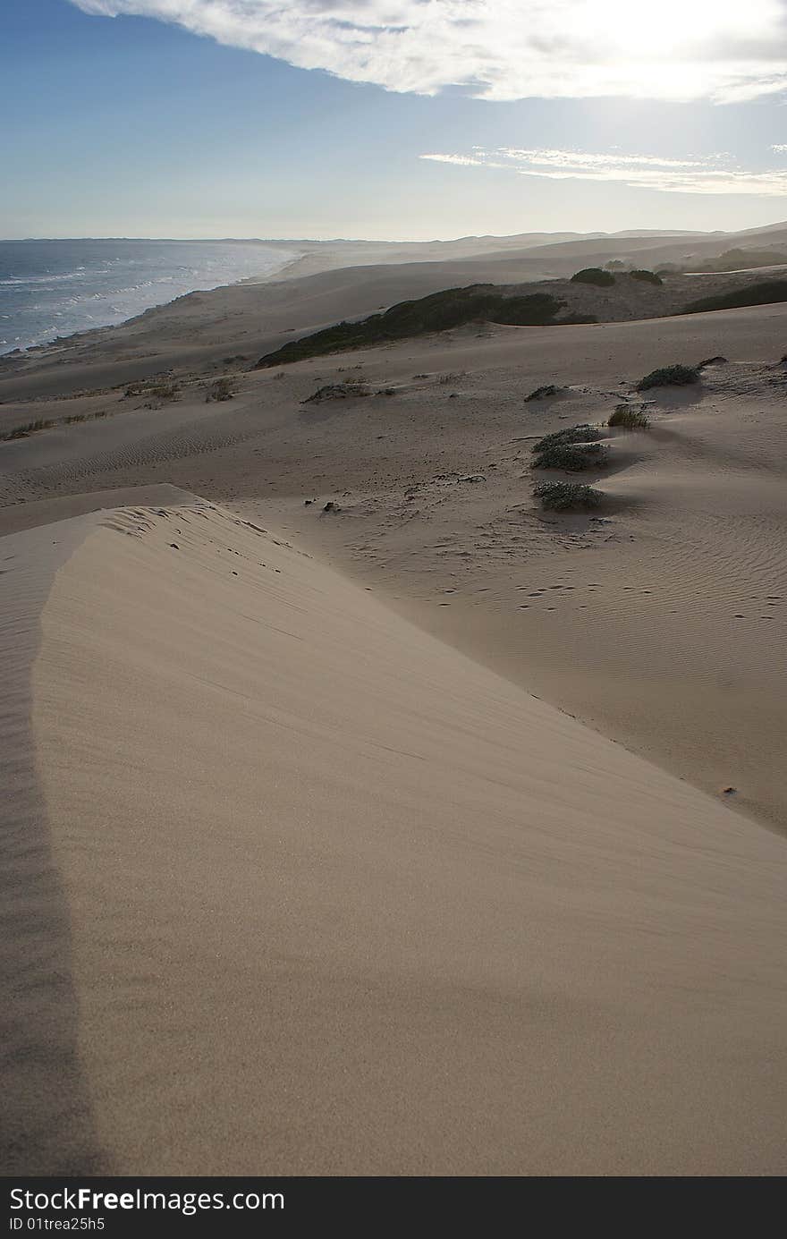 Beach and dunes