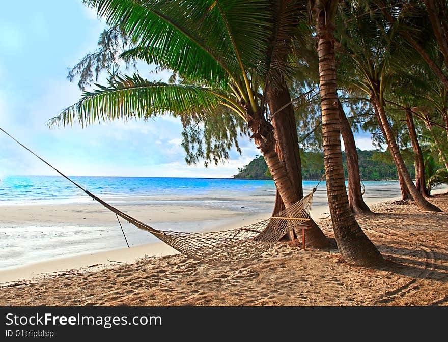 Relaxation on the hammock on the tropical beach. Relaxation on the hammock on the tropical beach