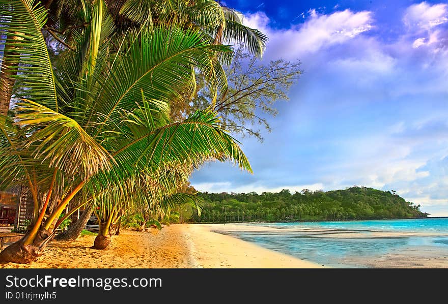 Sunny day on tropical beach. Sunny day on tropical beach