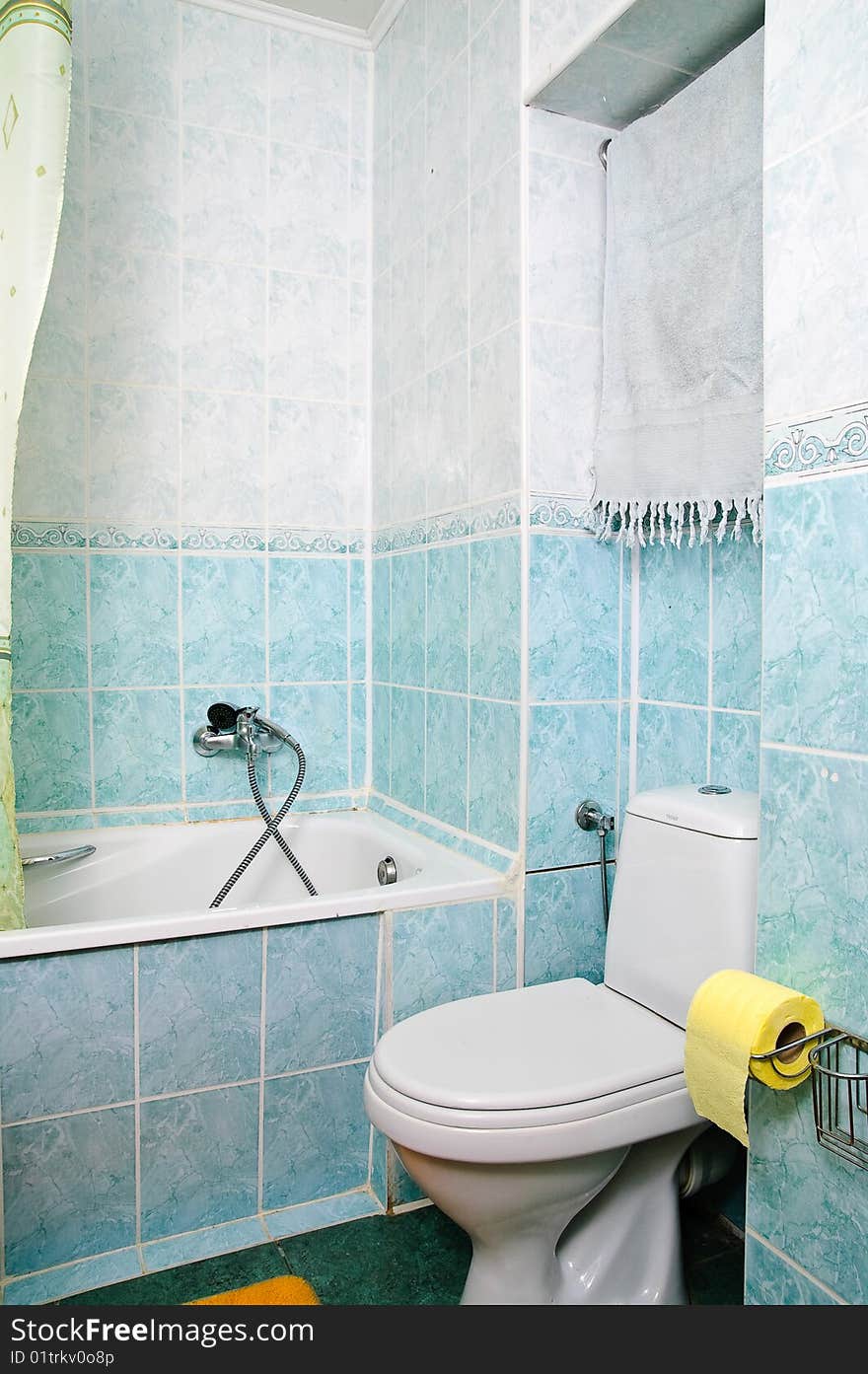 Bathtub and shower of domestic bathroom