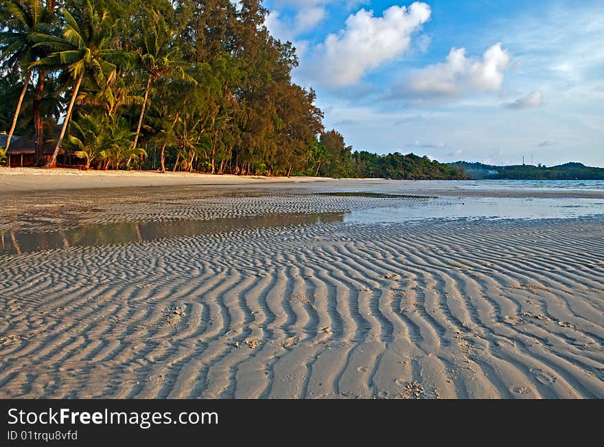 Sand ornament, sea and palm trees