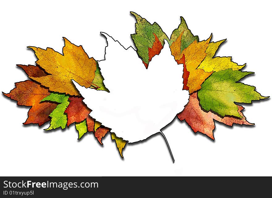 Maple Leaf Bunch