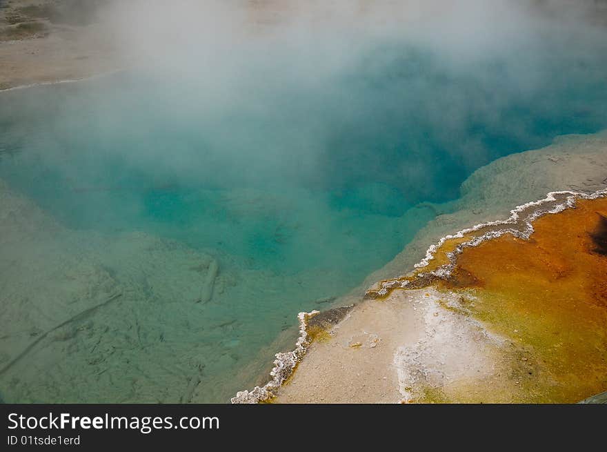 Picture of a geyser in Yellowstone National Park