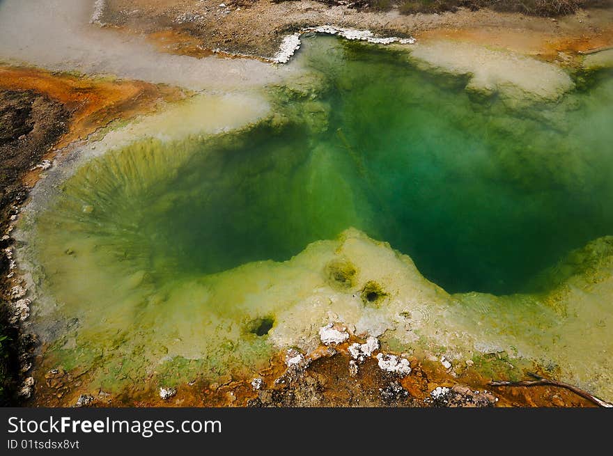 Picture of a geyser in Yellowstone National Park