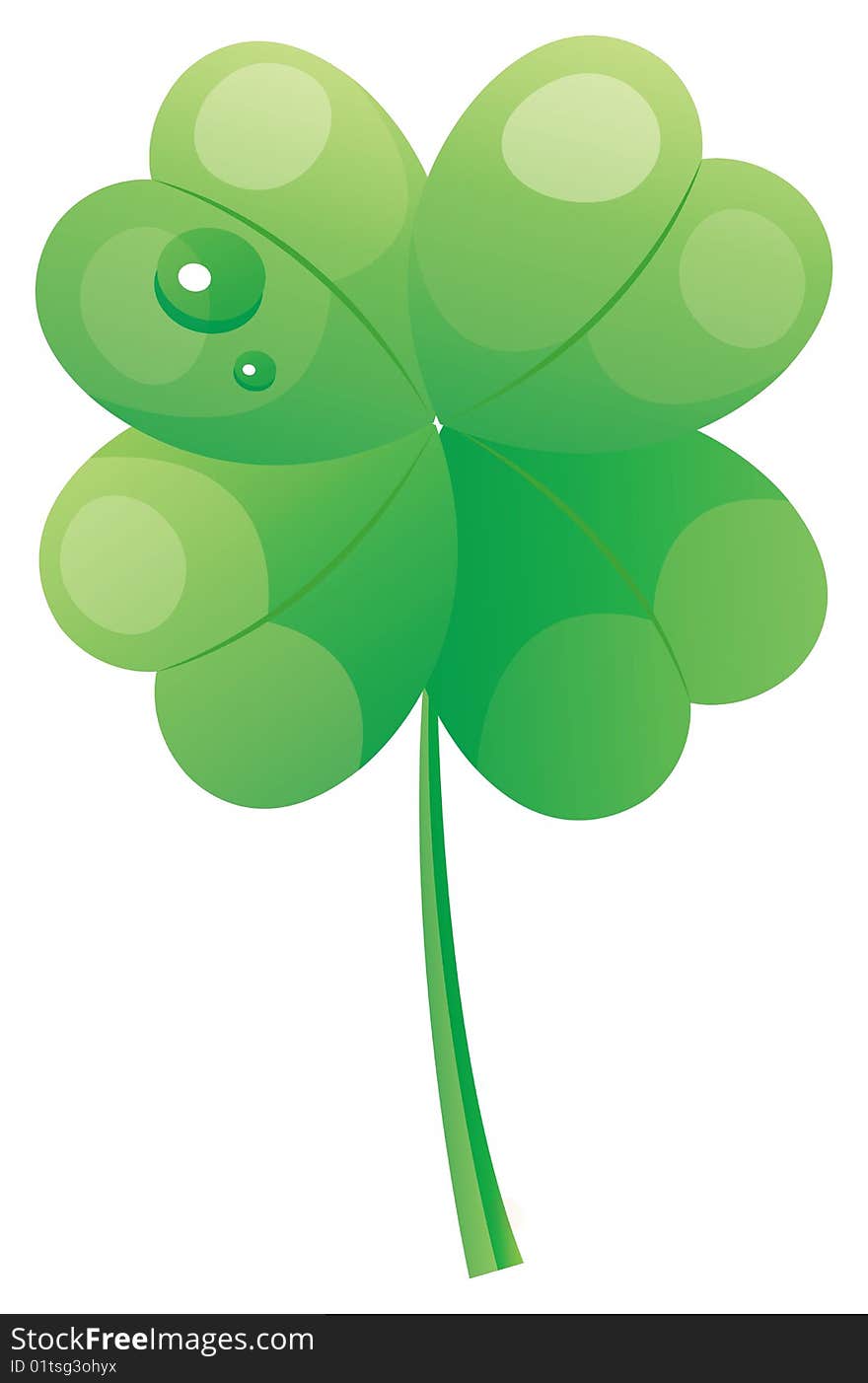 Four Leaf Clover with water drops  in a white background. Four Leaf Clover with water drops  in a white background