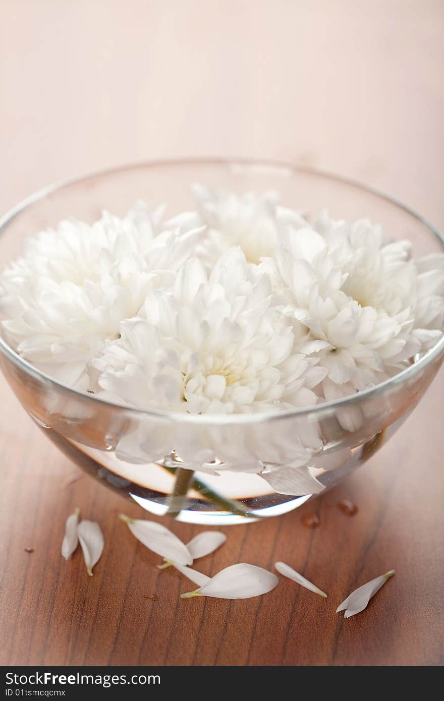 White flowers floating in bowl