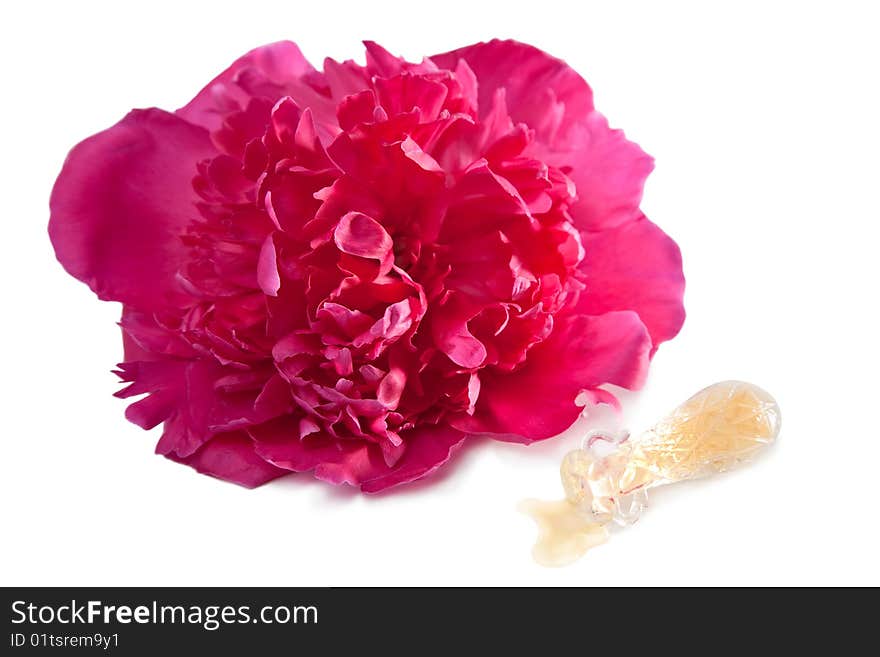 Peony flower and perfume bottle isolated