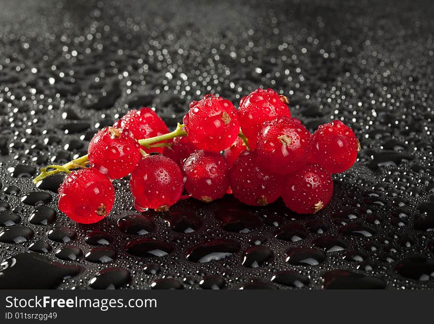 Redcurrant with water drops over black background