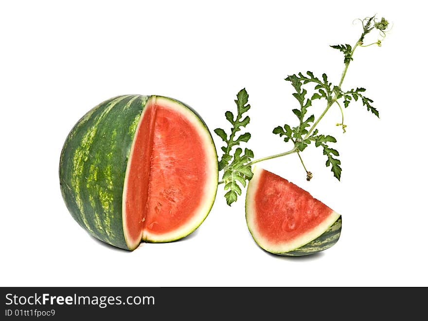 Watermelon segments with vine