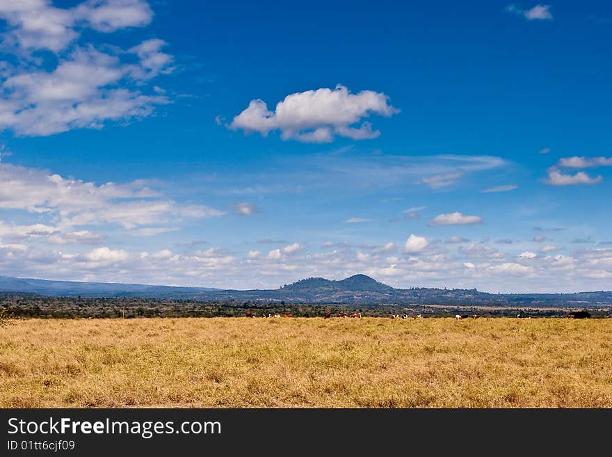 Landscape of farmland and hills