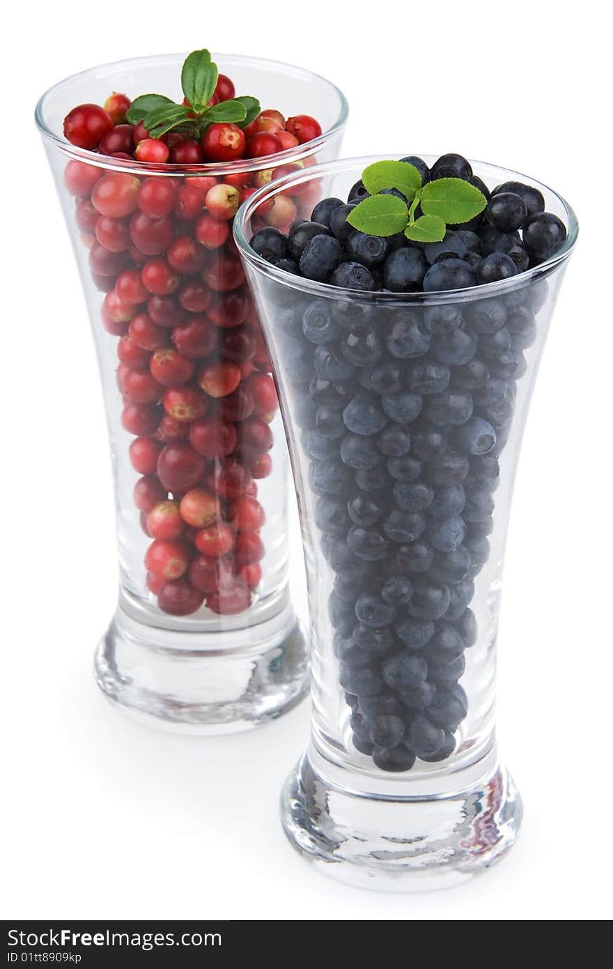 Bilberries and cranberries