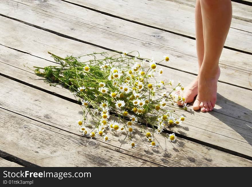 Daisies and a woman foot